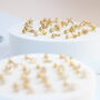 Dainty Gold Screwback Studs For Her, thumbnail 8 of 9