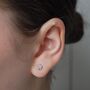 Organic Zodiac Stud Earrings, thumbnail 3 of 7