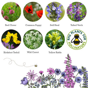 Wildlife Collection Wildflower Seeds, 11 of 12