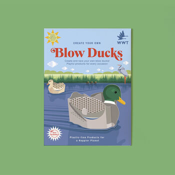 Create Your Own Blow Ducks Mini Kit, 2 of 6