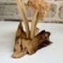 Hand Carved Shitake Wood Mushrooms On Driftwood Base, thumbnail 9 of 11