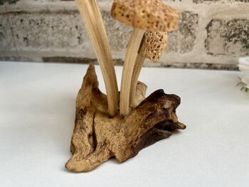 Hand Carved Shitake Wood Mushrooms On Driftwood Base, 9 of 11