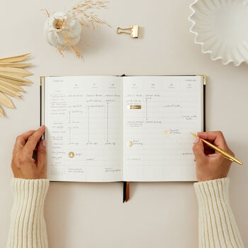 2026 Weekly Planner Tortoise, 6 of 12