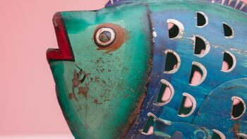 Fish Lantern, 5 of 12