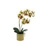 Orchid In Moss Ceramic Dot Pot, thumbnail 4 of 4
