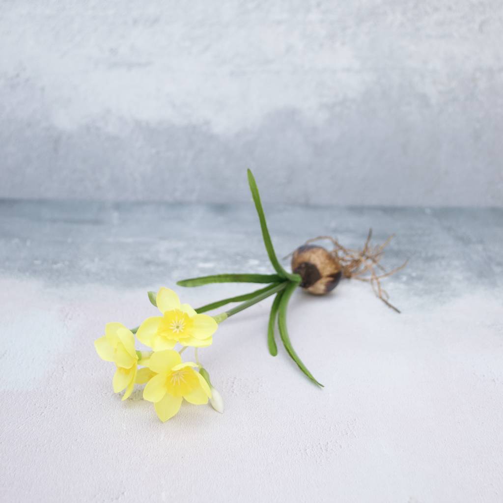 Silk Daffodil With Bulb In Glass Vase By Abigail Bryans Designs