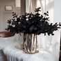 Black Eucalyptus Stems For Autumn And Halloween Decorations, thumbnail 3 of 8