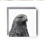 Golden Eagle Hand Drawn Greeting Card, thumbnail 2 of 6