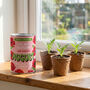 Personalised August Grow Your Own Flower Gift, thumbnail 2 of 4