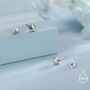 Aurora Ab Cz Star Stud Earrings In Sterling Silver, thumbnail 4 of 11