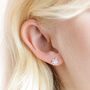 Sterling Silver Crystal Turtle Stud Earrings, thumbnail 2 of 4