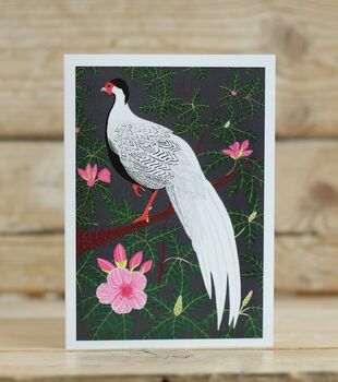 A Pack Of Four Mixed Exotic Pheasant Cards, 3 of 5