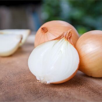 Vegetable Plants Onion Variety Plug Plants, 3 of 4
