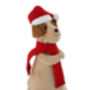 Christmas Tree Topper 'Santa Paws' Dog | Festive Decor | Christmas Decoration | Seasonal, thumbnail 5 of 7