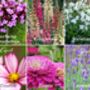 Mum’s Flower Garden Seed Kit – Personalised Flower Gift For Mother’s Day And Birthdays, thumbnail 6 of 7