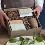 Grow Your Own Herbal Teas Gift Box With Tea Infuser, thumbnail 1 of 4