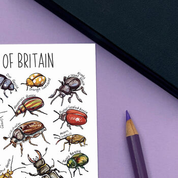 Beetles Of Britain Watercolour Postcard, 8 of 8