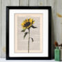 Sunflower, Vintage Collection Print, thumbnail 1 of 4