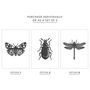 Black And White Insect Illustrations Prints, thumbnail 2 of 6
