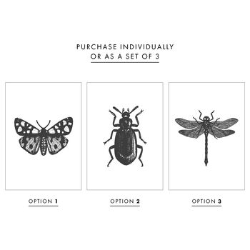 Black And White Insect Illustrations Prints, 2 of 6
