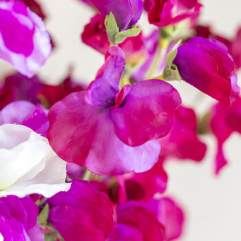 Four Faux Sweet Pea Stems, 2 of 4
