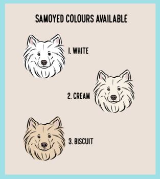 Samoyed Face Baby Onesie, 4 of 6