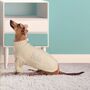 Personalised Knitted Pet Jumper, thumbnail 1 of 2