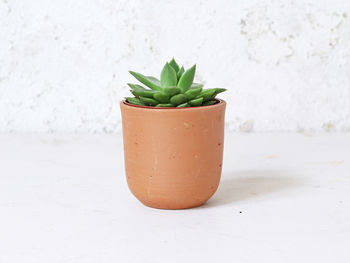 Curved Terracotta Plant Pot, 2 of 4