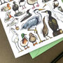 Water Birds Of Britain Greeting Card, thumbnail 10 of 12