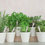 Set Of Six Personalised Vintage Herb Markers, thumbnail 1 of 2