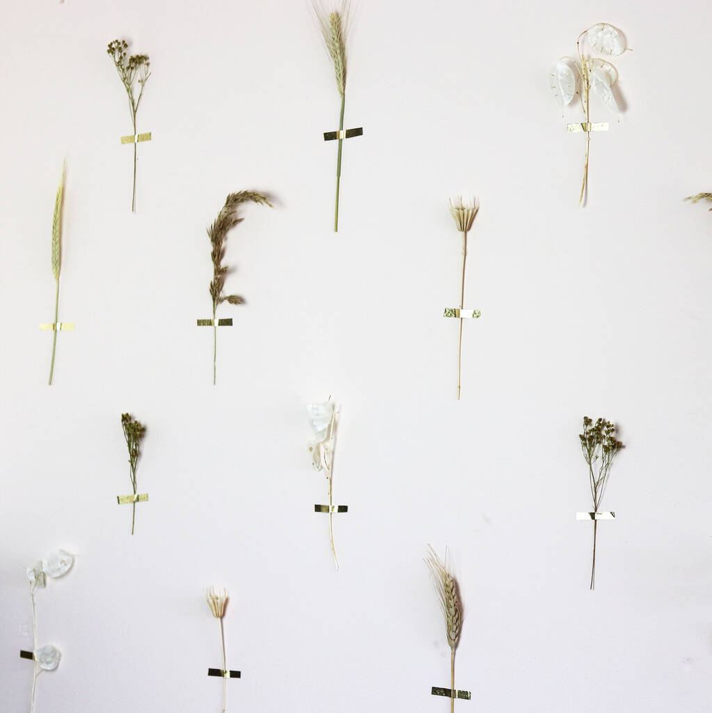 Diy Dried Flower Wall Decor Craft Kit By Sun And Day