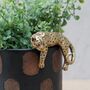 Gold Leopard Pot Hanger, thumbnail 3 of 7