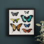 Handpainted Papercut Butterflies 3D Wall Art, thumbnail 1 of 9