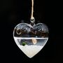 Hanging Glass Heart Vase Marimo Moss Ball, thumbnail 1 of 4