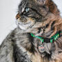 Furida Catlo Artist Cat Collar, thumbnail 2 of 4