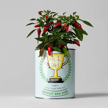 'Number One Dad' Eco Grow Your Own Chilli Plants Kit, 2 of 11