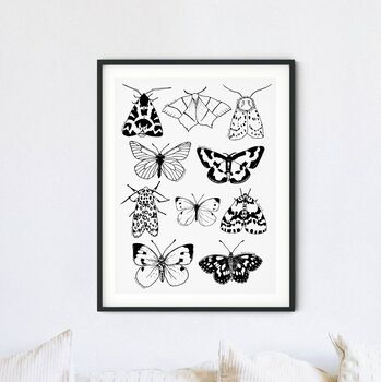 British Moths And Butterflies Print, 4 of 6