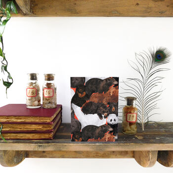 Maul Of Bears Greeting Card, 4 of 5