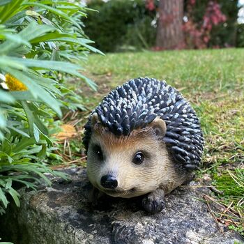 Mr Pricklepants Hedgehog Hoglet Garden Ornament, 6 of 6