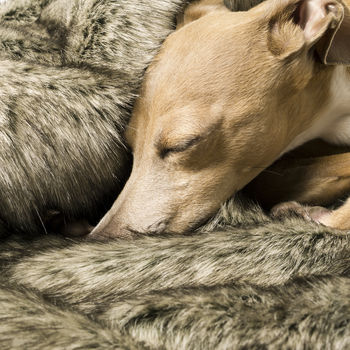 Charley Chau Faux Fur Pet Blanket In Wolf Grey, 3 of 5
