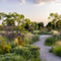 Visit Rhs Garden Bridgewater Day: A Garden Lover's Paradise. For Two, thumbnail 10 of 11