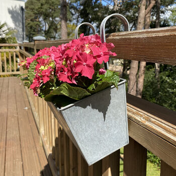 Pair Of Zesty Zinc Balcony Flower And Herb Planters, 4 of 6