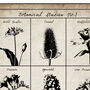 Botanical Studies No.One Fine Art Print, thumbnail 3 of 7