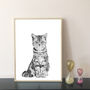 Tabby Cat Portrait Print, thumbnail 1 of 3
