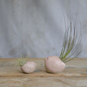 Bird Air Plant Holder In Pale Pink, 2 of 7