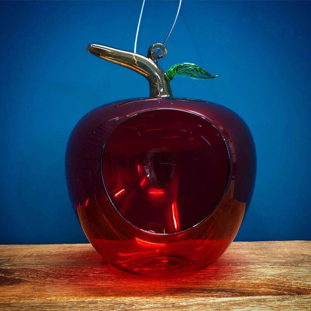 red apple hanging glass bird feeder by garden selections ...