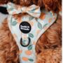 Adjustable Dog Harness | Oranges And Blossoms, thumbnail 5 of 5