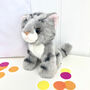 Fluffy Cat In Personalised Gift Bag, thumbnail 3 of 3