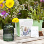 Grow Your Own Wildflower Bouquet And Vase Gift Set, thumbnail 1 of 12