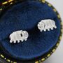 Sterling Silver Water Bear Stud Earrings, thumbnail 7 of 12